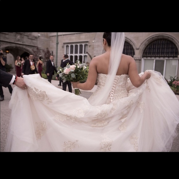 Wedding Dress - Desi | M1716L - Picture 8 of 8